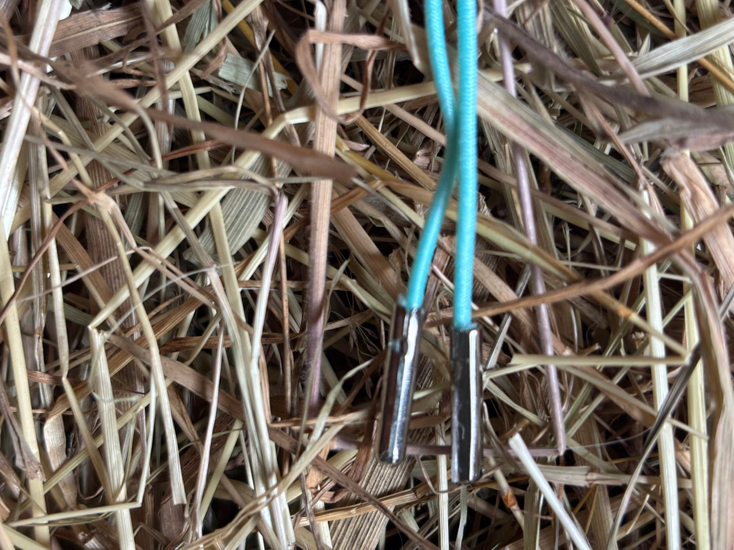 CC Lace up Love Schnürsenkel