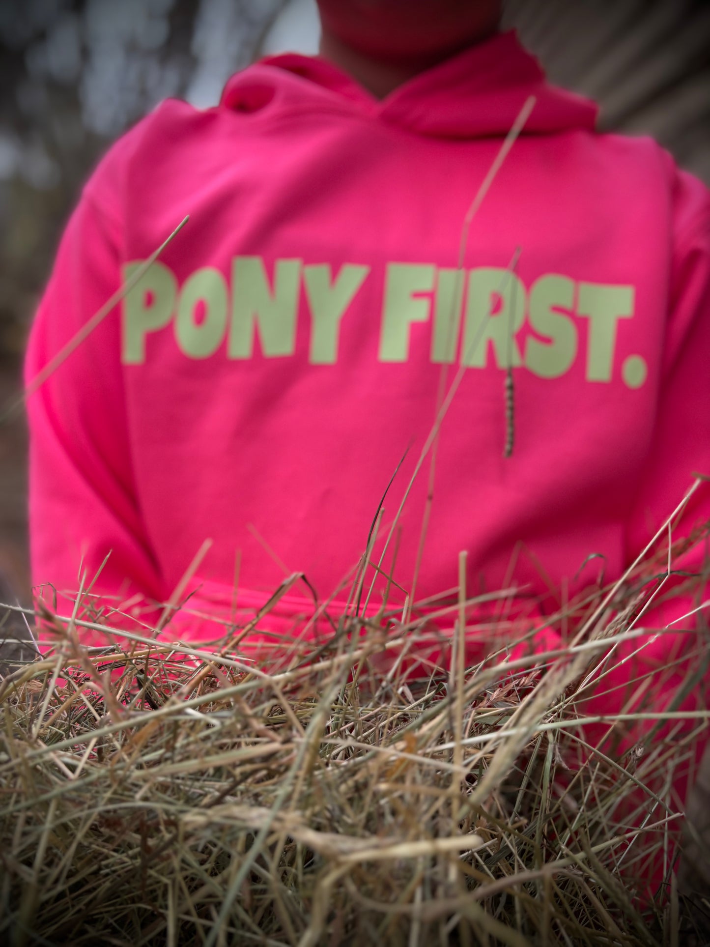 CC Pony first Hoddie Electric Pink