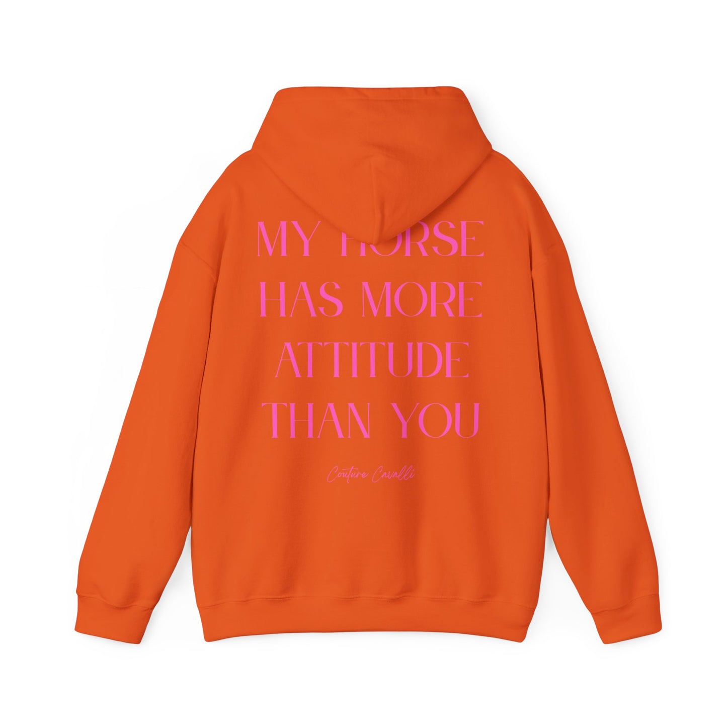 Horse Attitude Hoodie — My Horse Has More Attitude Than You
