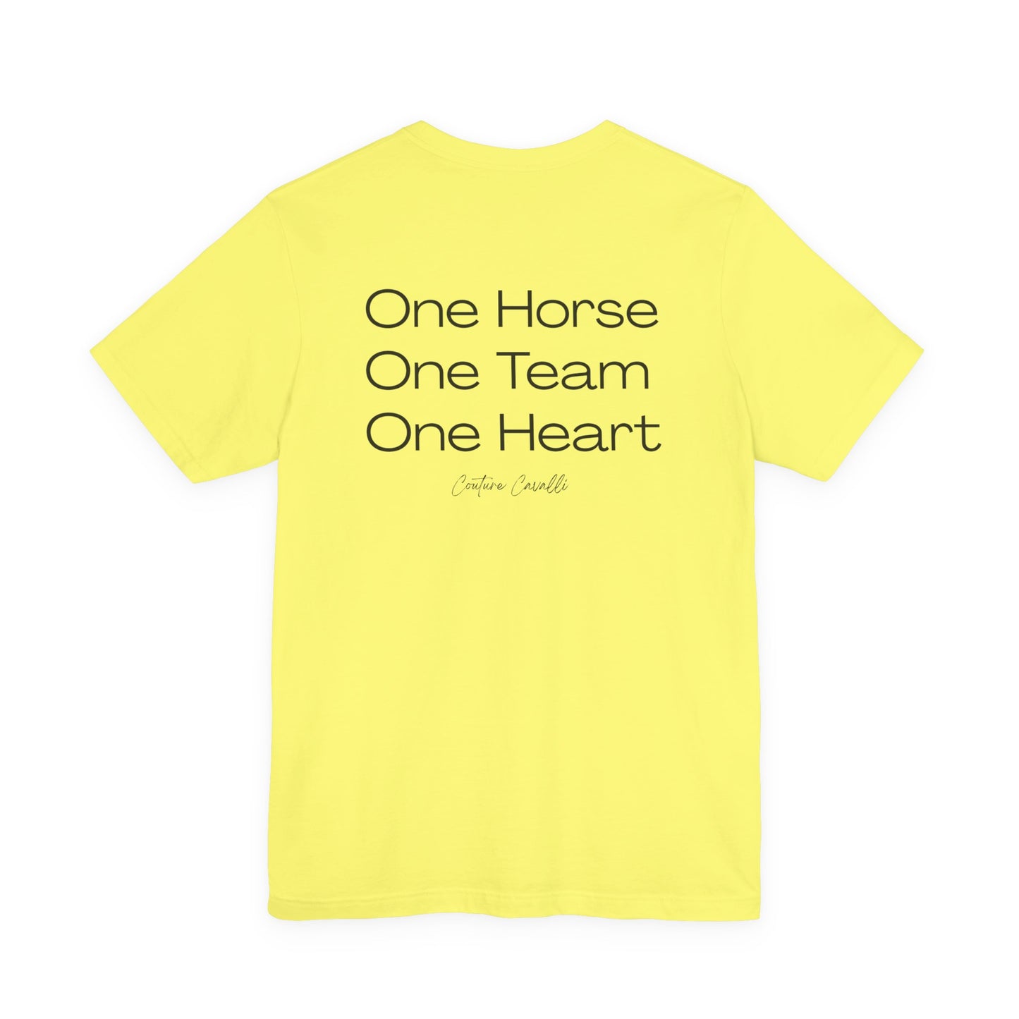 One Horse One Team
