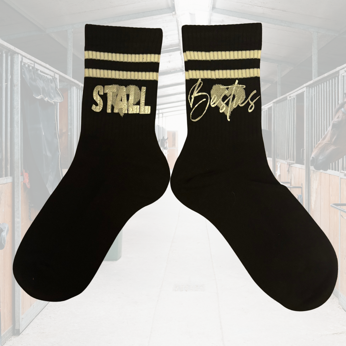 Sock Affair Customize