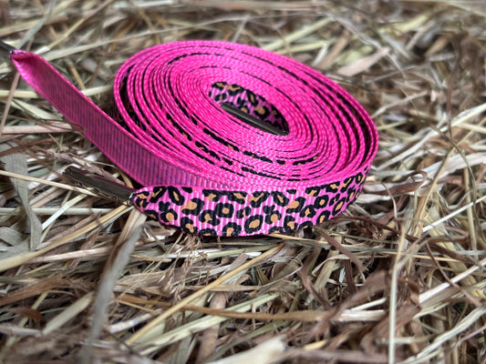 CC Lace up Love Schnürsenkel