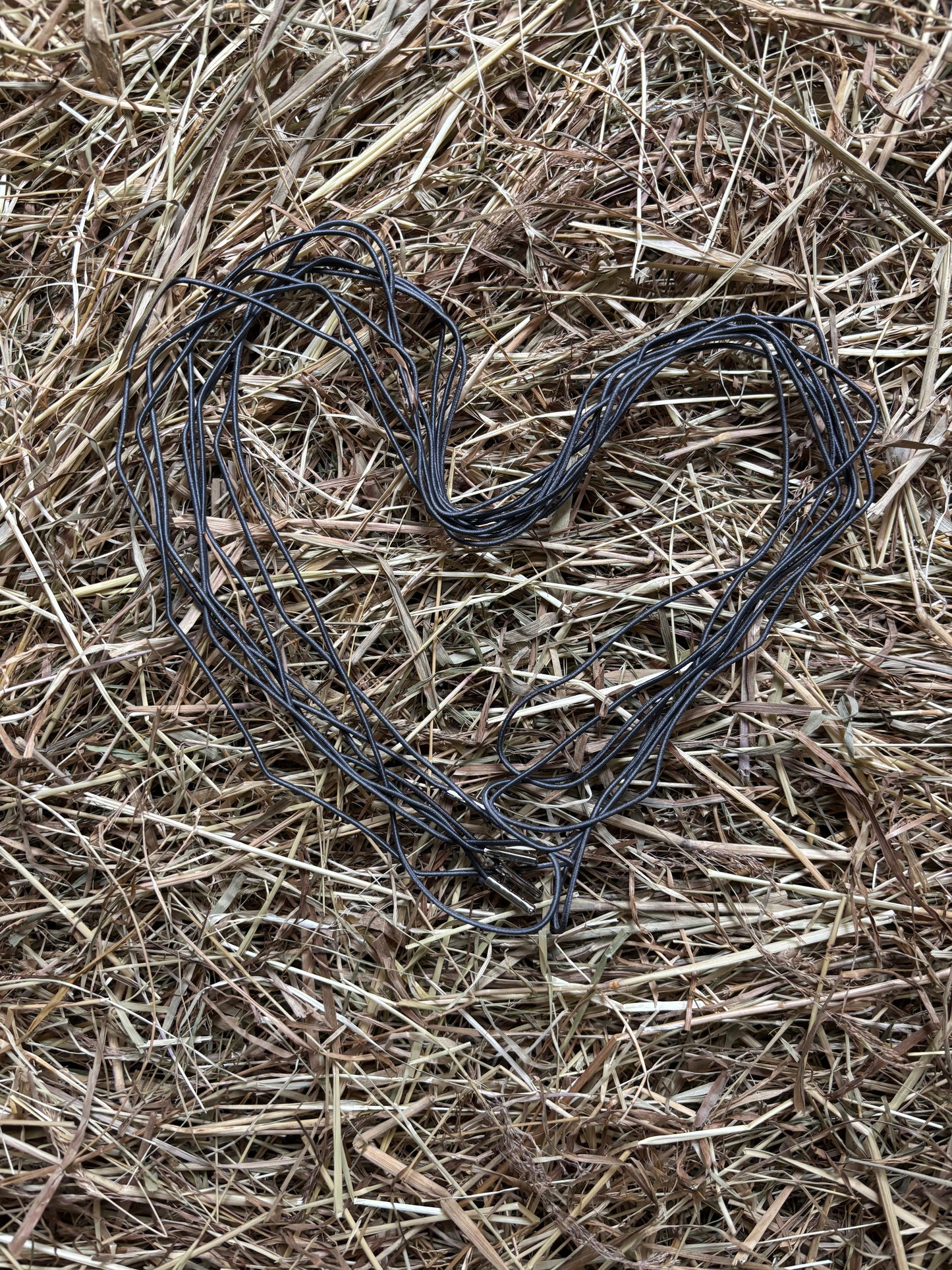 CC Lace up Love Schnürsenkel