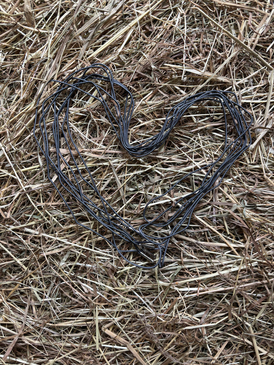 CC Lace up Love Schnürsenkel