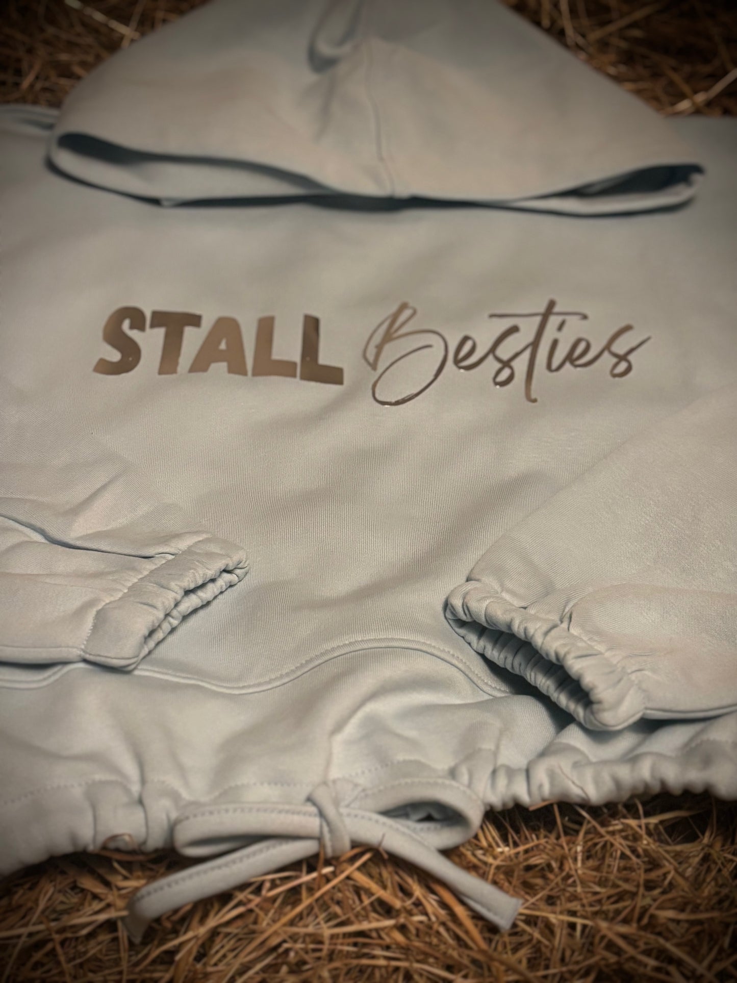 CC STALL Besties Cropped Oversize Hoddie